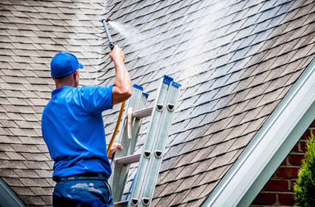 greenville roof cleaning